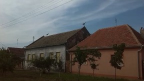 Protest u Banatskoj Dubici
